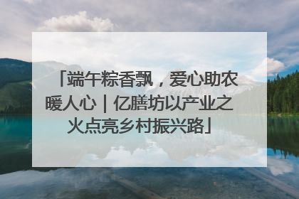 端午粽香飘，爱心助农暖人心｜亿膳坊以产业之火点亮乡村振兴路