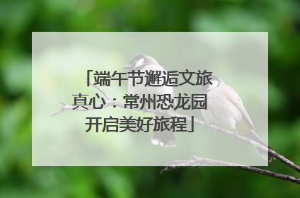 端午节邂逅文旅真心：常州恐龙园开启美好旅程