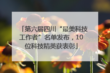 第六届四川“最美科技工作者”名单发布，10位科技精英获表彰