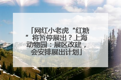 网红小老虎“红糖”将暂停展出？上海动物园：展区改建，会安排展出计划