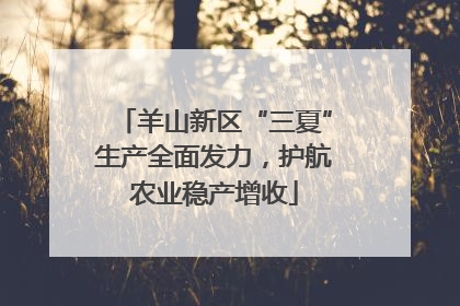 羊山新区“三夏”生产全面发力，护航农业稳产增收