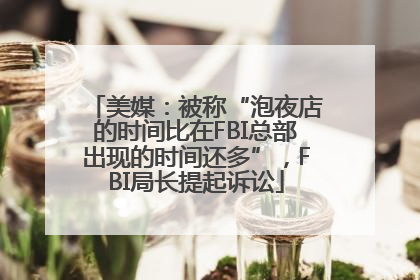 美媒：被称“泡夜店的时间比在FBI总部出现的时间还多”，FBI局长提起诉讼