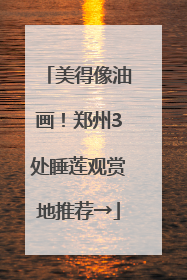 美得像油画！郑州3处睡莲观赏地推荐→