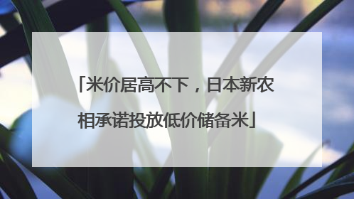 米价居高不下，日本新农相承诺投放低价储备米