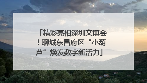 精彩亮相深圳文博会！聊城东昌府区“小葫芦”焕发数字新活力