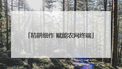 精耕细作 赋能农网终端