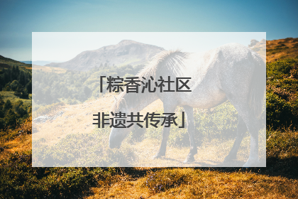 粽香沁社区 非遗共传承