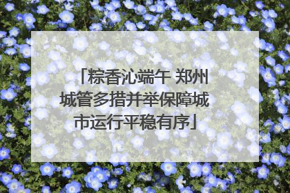 粽香沁端午 郑州城管多措并举保障城市运行平稳有序