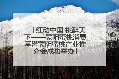 红动中国 桃醉天下——蒙阴蜜桃消费季暨蒙阴蜜桃产业推介会成功举办