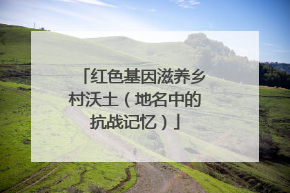 红色基因滋养乡村沃土（地名中的抗战记忆）