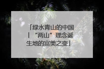 绿水青山的中国丨“两山”理念诞生地的富美之变