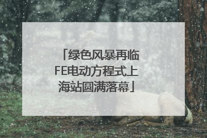 绿色风暴再临 FE电动方程式上海站圆满落幕