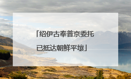 绍伊古奉普京委托已抵达朝鲜平壤