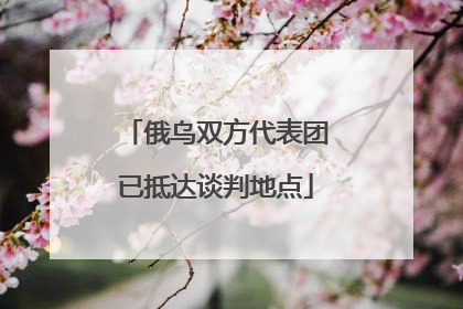 俄乌双方代表团已抵达谈判地点