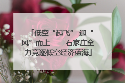 低空“起飞” 迎“风”而上——石家庄全力竞逐低空经济蓝海