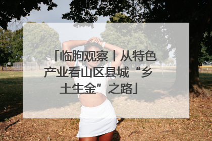 临朐观察丨从特色产业看山区县城“乡土生金”之路