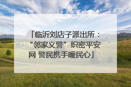 临沂刘店子派出所：“邻家义警”织密平安网 警民携手暖民心