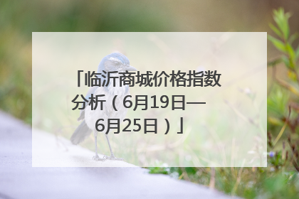 临沂商城价格指数分析（6月19日—6月25日）