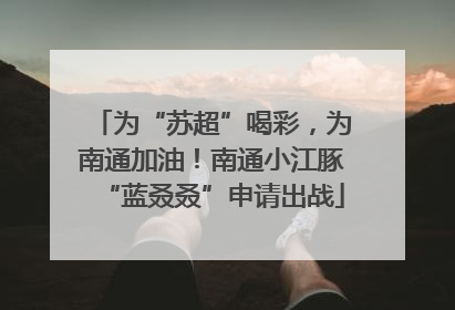 为“苏超”喝彩，为南通加油！南通小江豚“蓝叒叒”申请出战