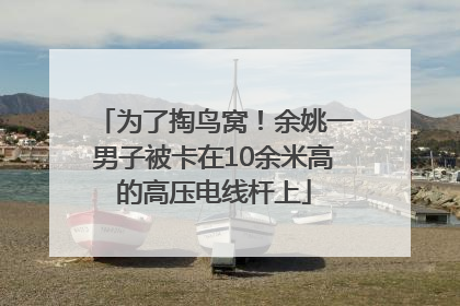 为了掏鸟窝！余姚一男子被卡在10余米高的高压电线杆上
