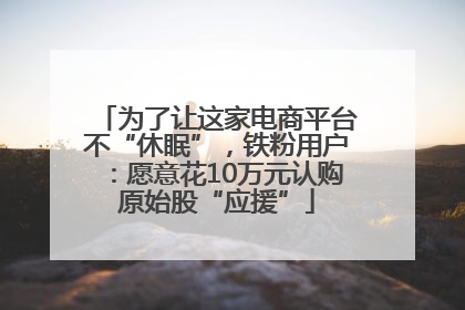为了让这家电商平台不“休眠”，铁粉用户：愿意花10万元认购原始股“应援”