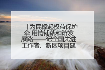 为民撑起权益保护伞 用情铺就和谐发展路——记全国先进工作者、新区项目建设中心干部卢小勇
