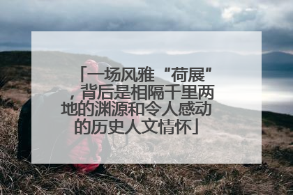 一场风雅“荷展”，背后是相隔千里两地的渊源和令人感动的历史人文情怀