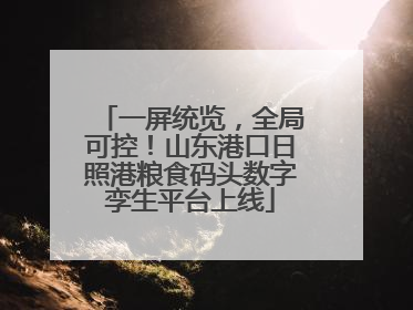 一屏统览，全局可控！山东港口日照港粮食码头数字孪生平台上线