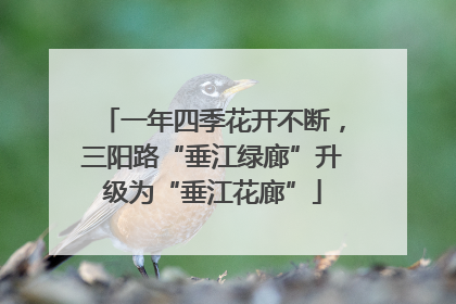 一年四季花开不断，三阳路“垂江绿廊”升级为“垂江花廊”