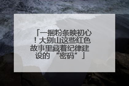 一捆粉条映初心！大别山这些红色故事里藏着纪律建设的 “密码”