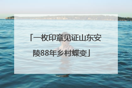 一枚印章见证山东安陵88年乡村蝶变