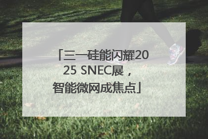 三一硅能闪耀2025 SNEC展，智能微网成焦点