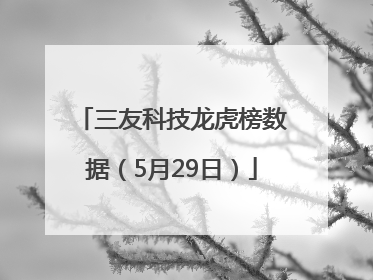 三友科技龙虎榜数据（5月29日）