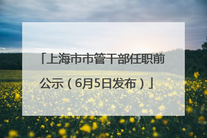 上海市市管干部任职前公示（6月5日发布）