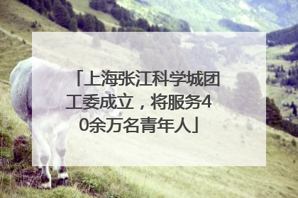 上海张江科学城团工委成立，将服务40余万名青年人