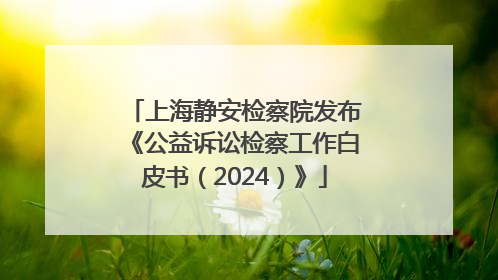 上海静安检察院发布《公益诉讼检察工作白皮书（2024）》