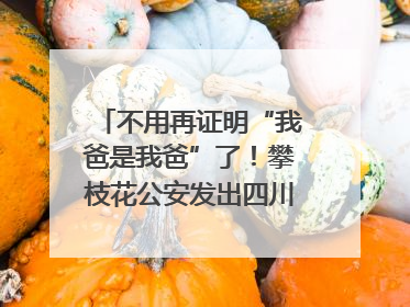 不用再证明“我爸是我爸”了！攀枝花公安发出四川首张“户籍人口直系亲属关系谱”