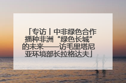 专访丨中非绿色合作播种非洲“绿色长城”的未来——访毛里塔尼亚环境部长拉格达夫