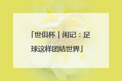 世俱杯｜闲记：足球这样团结世界