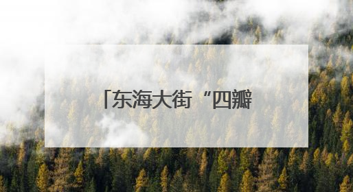 东海大街“四瓣花”天桥亮灯
