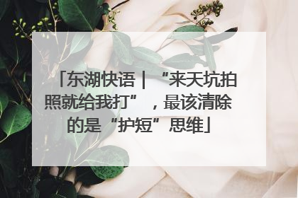 东湖快语｜“来天坑拍照就给我打”，最该清除的是“护短”思维