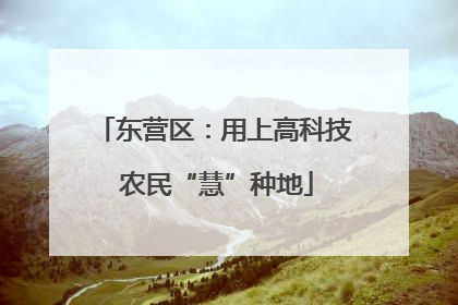 东营区：用上高科技 农民“慧”种地