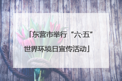 东营市举行“六·五”世界环境日宣传活动