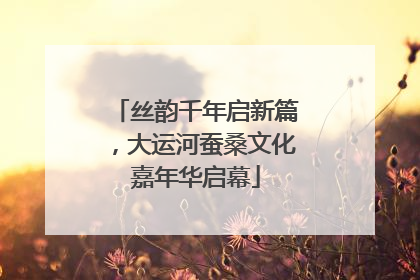 丝韵千年启新篇，大运河蚕桑文化嘉年华启幕