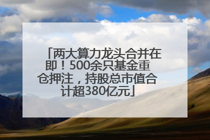 两大算力龙头合并在即！500余只基金重仓押注，持股总市值合计超380亿元