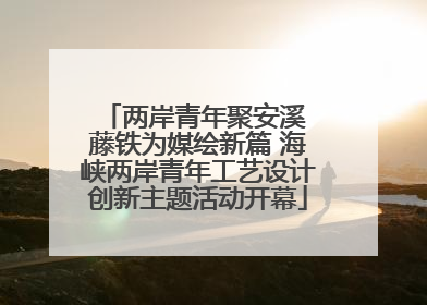 两岸青年聚安溪 藤铁为媒绘新篇 海峡两岸青年工艺设计创新主题活动开幕