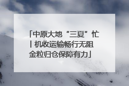中原大地“三夏”忙丨机收运输畅行无阻 金粒归仓保障有力