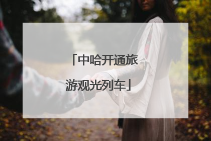 中哈开通旅游观光列车