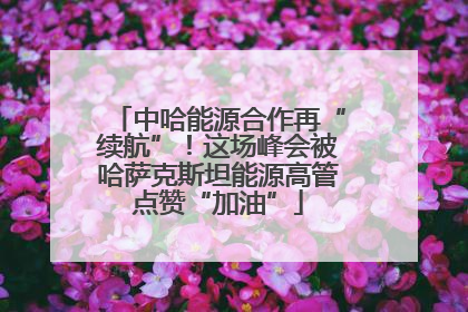 中哈能源合作再“续航”！这场峰会被哈萨克斯坦能源高管点赞“加油”