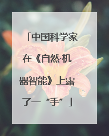 中国科学家在《自然·机器智能》上露了一“手”